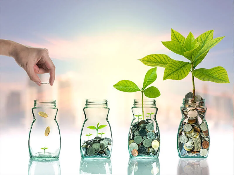 An abstract visual of investment growth